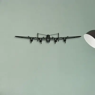 201 Standard Libelle 5 — XS (50 cm) metal wall art
