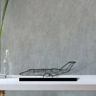 cj3-3 — S (30 cm) metal wall art