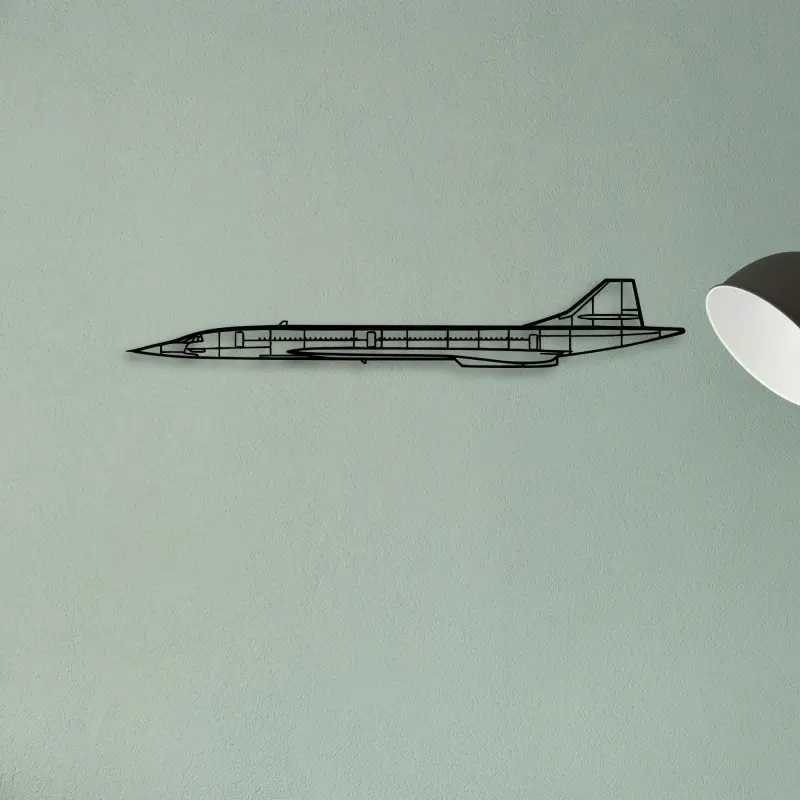 Concorde — XS (50 cm) metal wall art