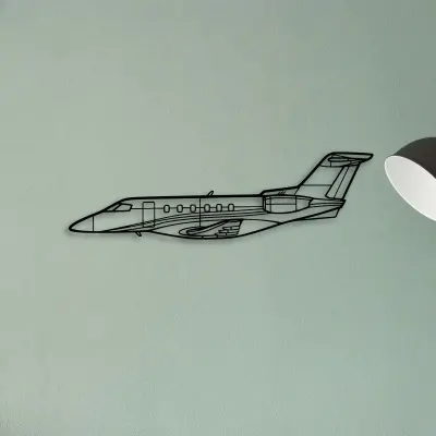 Super Petrel Ls — XS (50 cm) metal wall art
