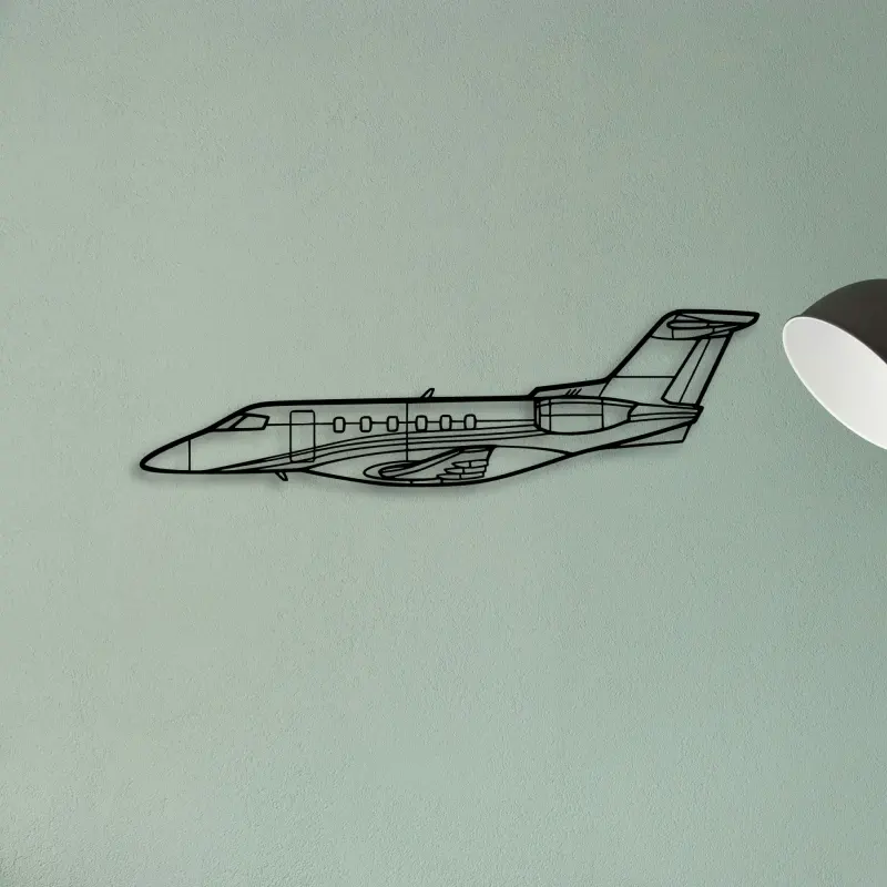 Super Petrel Ls — XS (50 cm) metal wall art