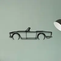 TR4A IRS 2